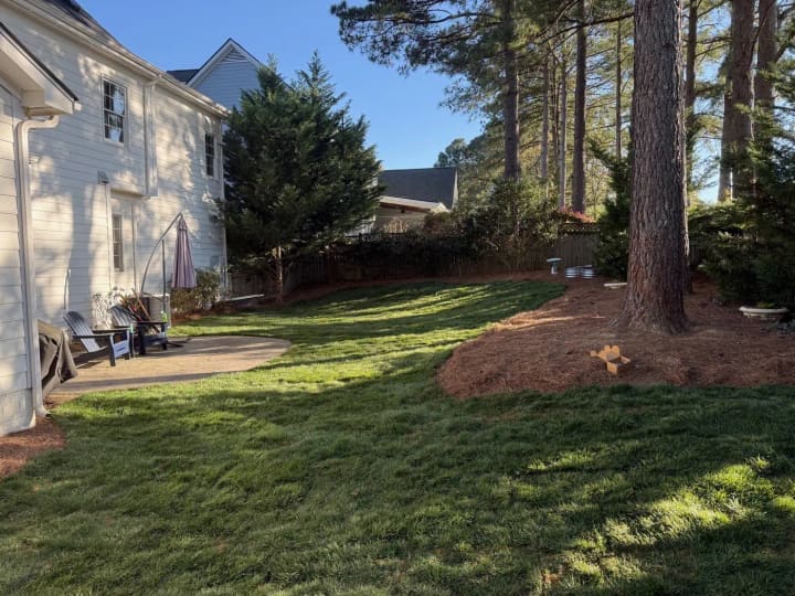 Same backyard after tall fescue installation — thick green lawn in dappled shade