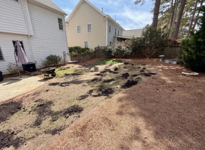 Bare, uneven backyard before tall fescue installation