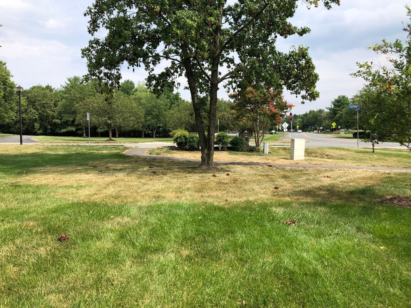 Dry Triangle lawn during a drought spell